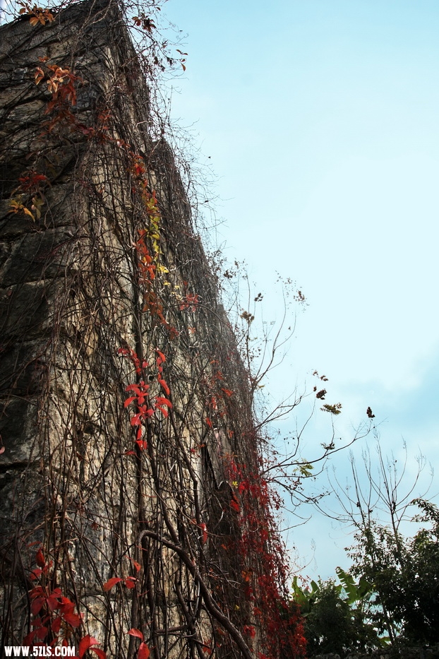 三峡 181.jpg