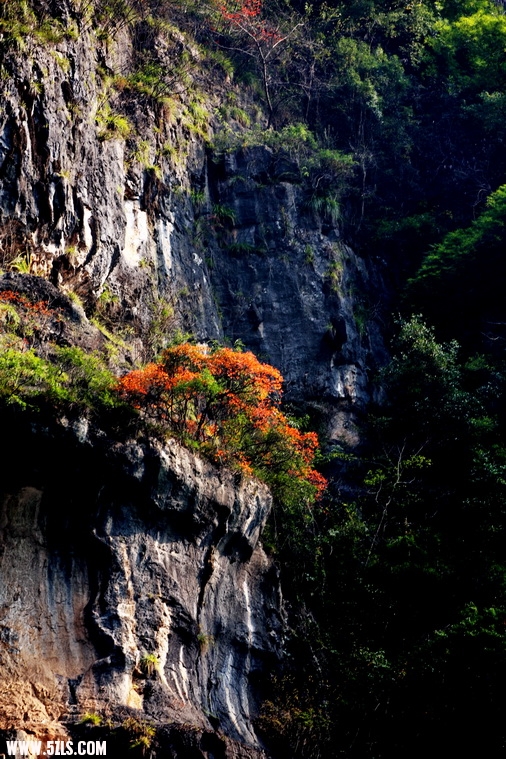 三峡 211.jpg