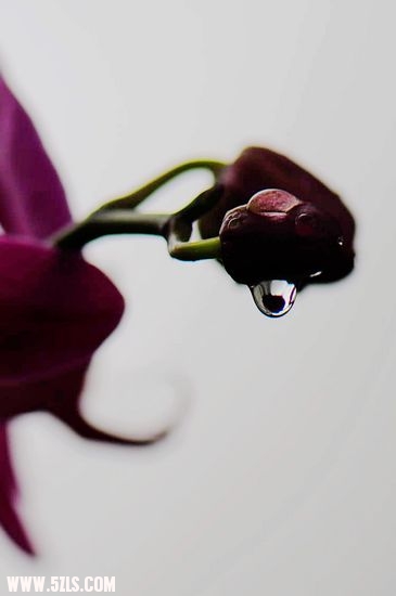 ˮ 108.jpg