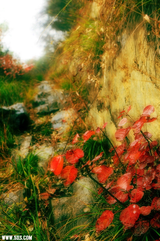 _MG_1678.jpg