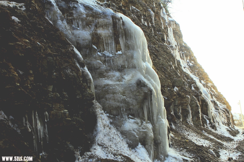 _MG_1104.jpg