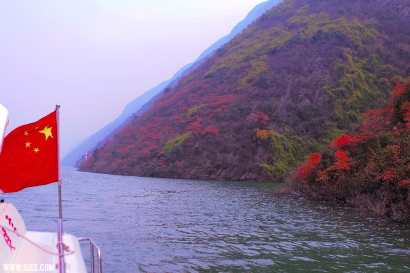 _MG_1179.jpg