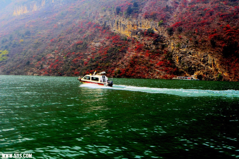 _MG_1247.jpg