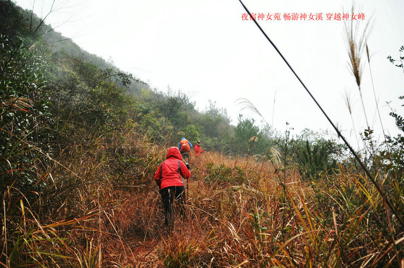 DSC_0759.JPG