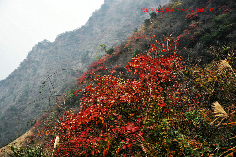 DSC_0718.JPG