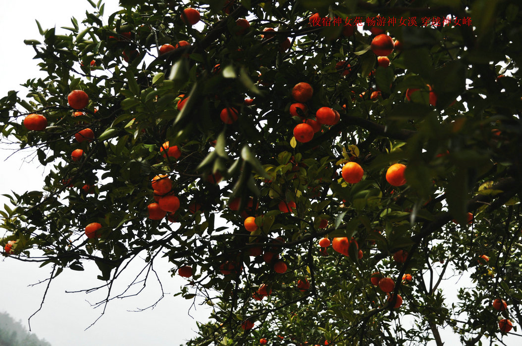 DSC_0745.JPG