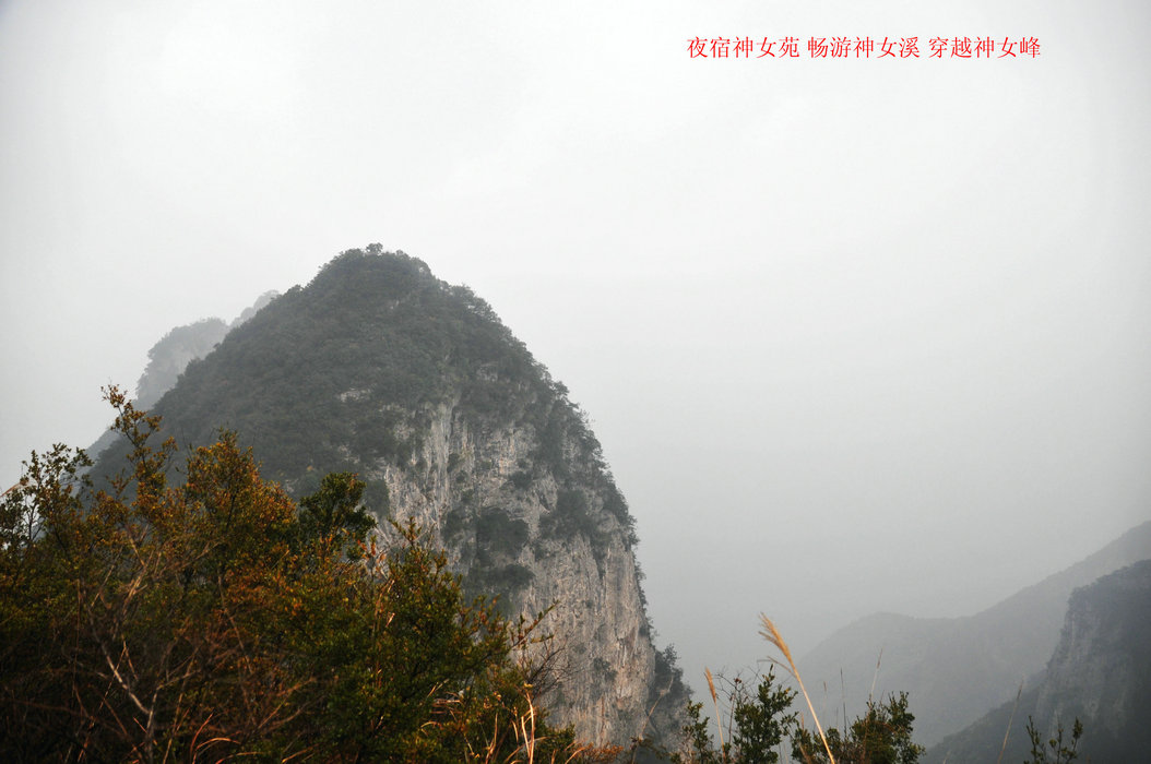 DSC_0772.JPG
