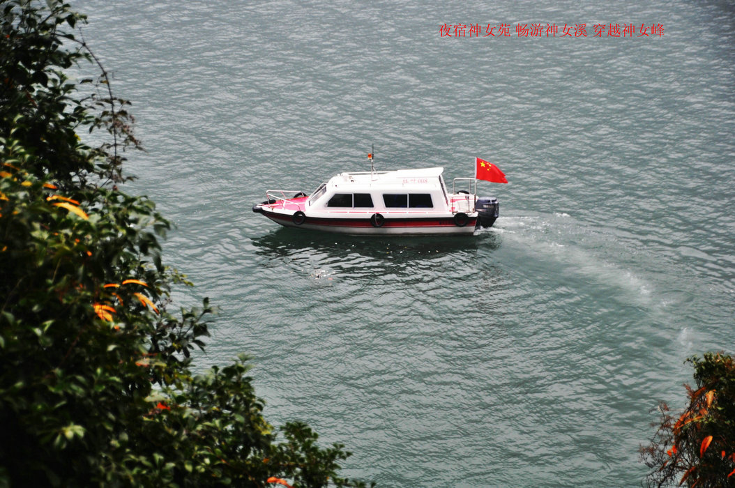 DSC_0806.JPG