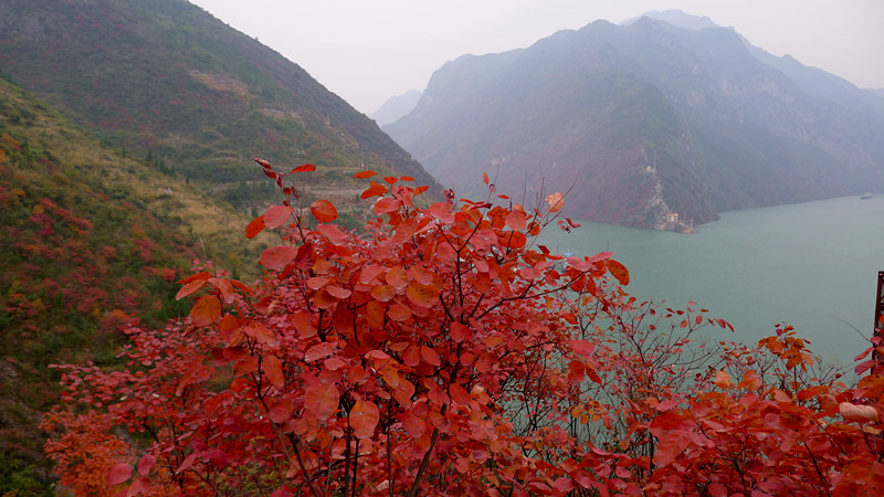 p1000344_.jpg
