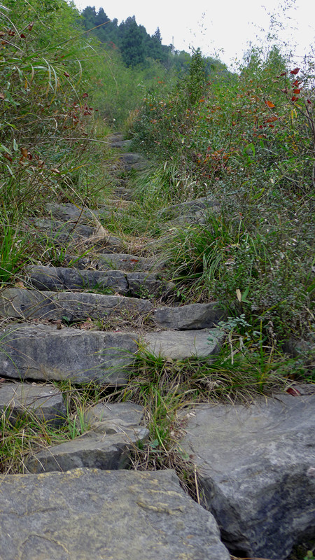p1000371_.jpg