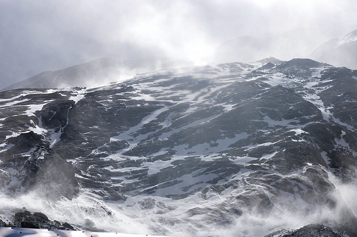 DSC_0513.jpg
