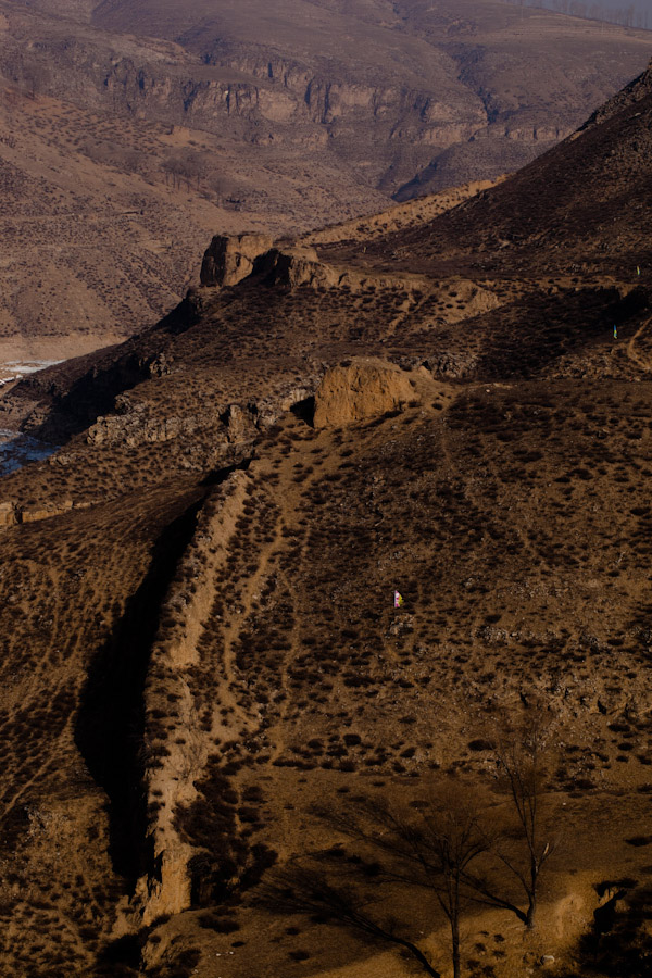 _MG_2598-2-2.jpg