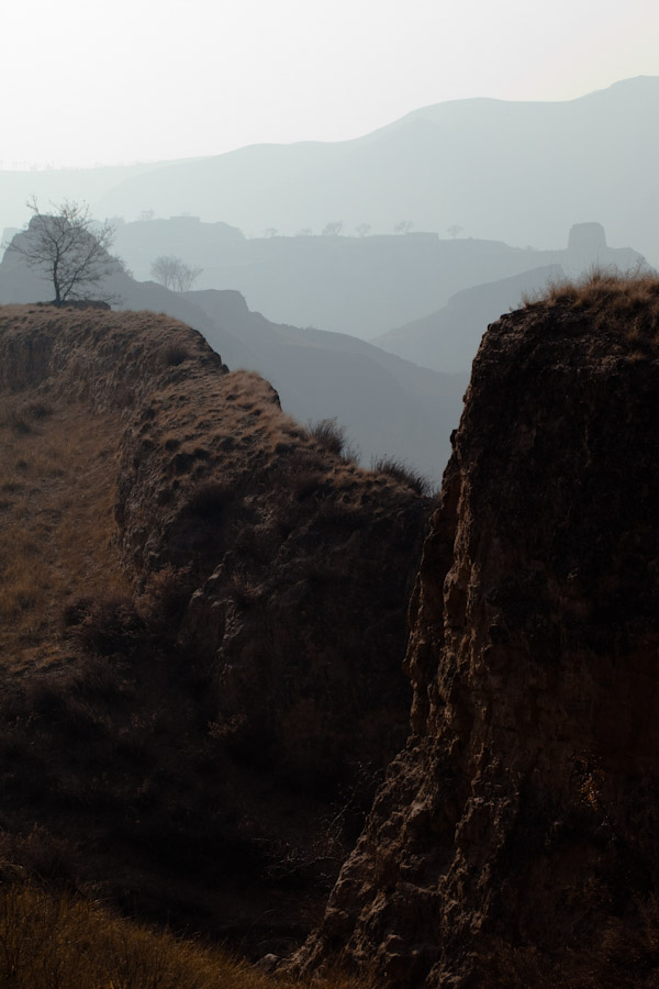 _MG_2613-2-2.jpg