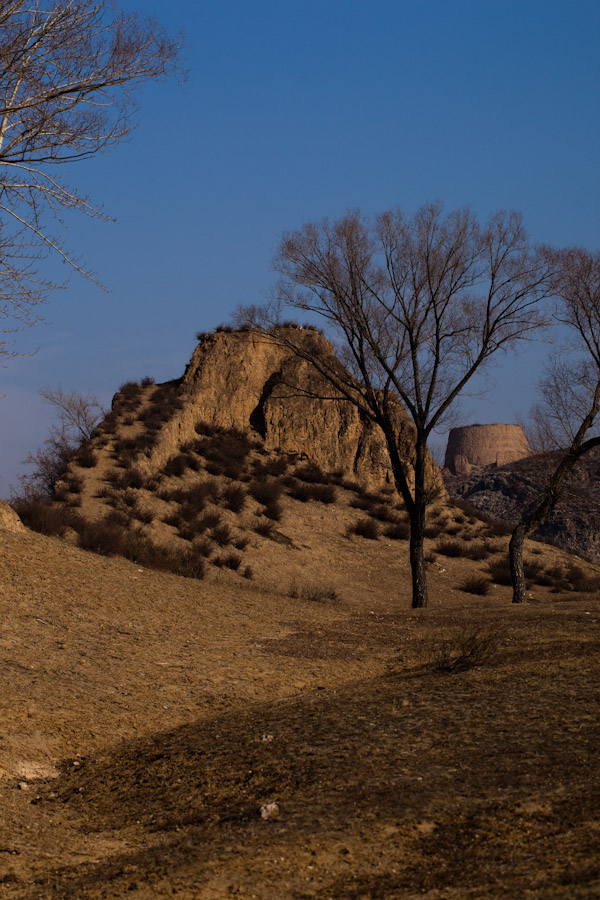 _MG_2592-2-2.jpg