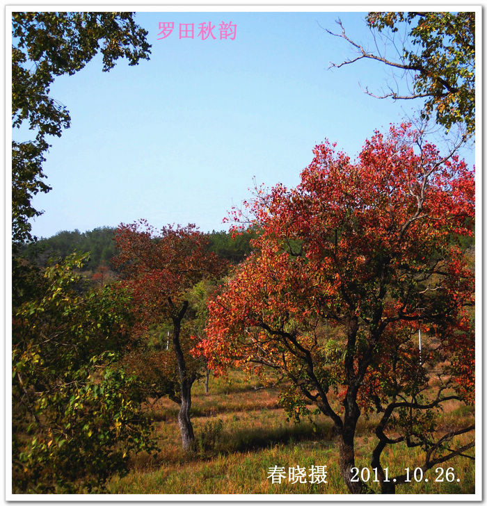 DSCN1314.jpg