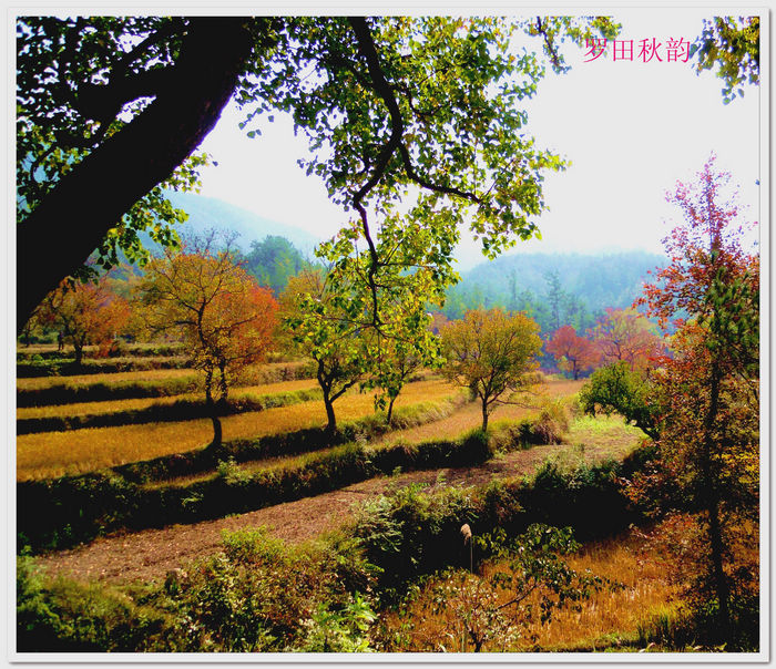 DSCN1320.jpg