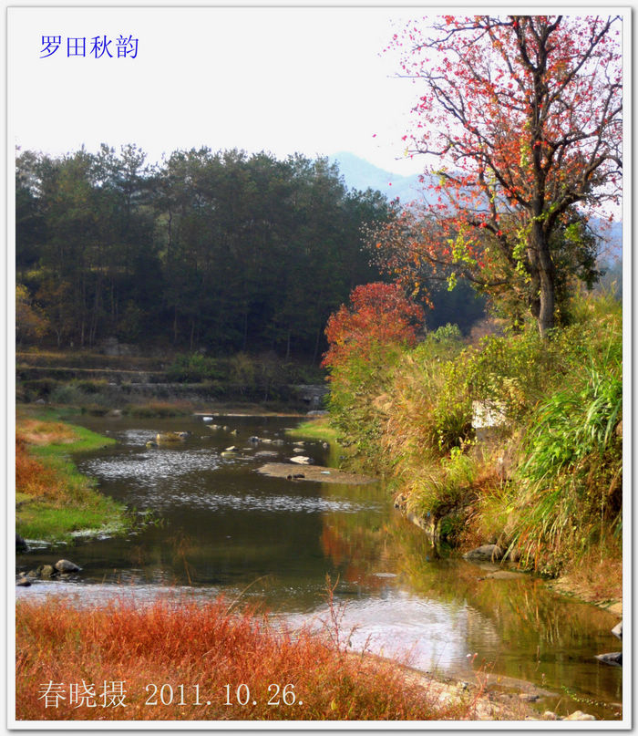 DSCN1400.jpg