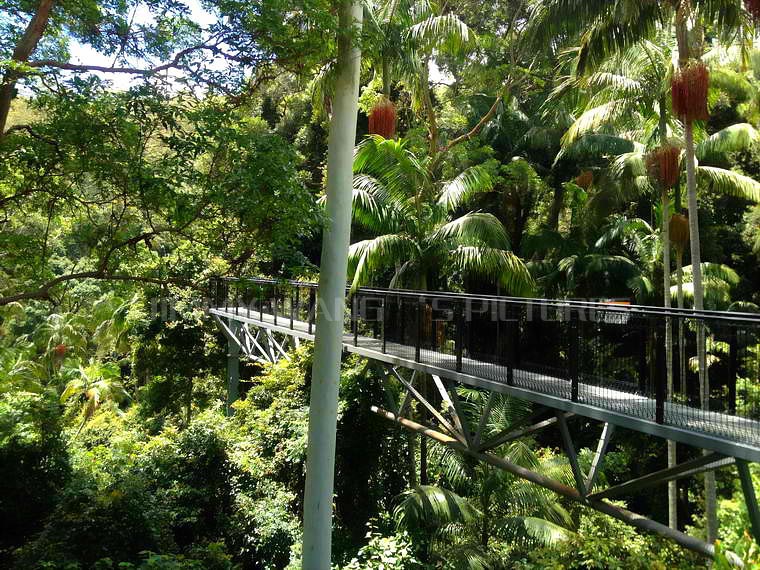 SKY WALK