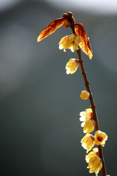 2012 046.jpg