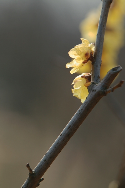 2012 067.jpg