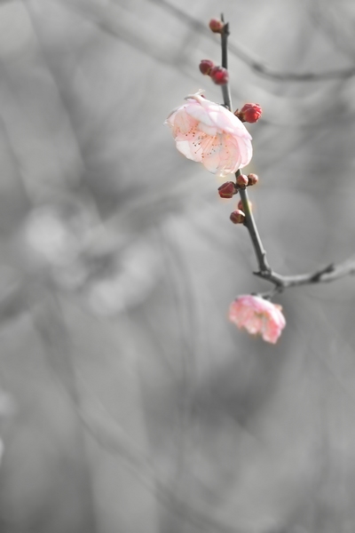2012 083.jpg