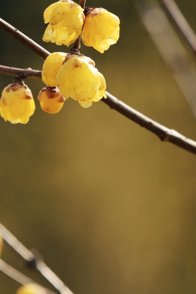 2012 077.jpg
