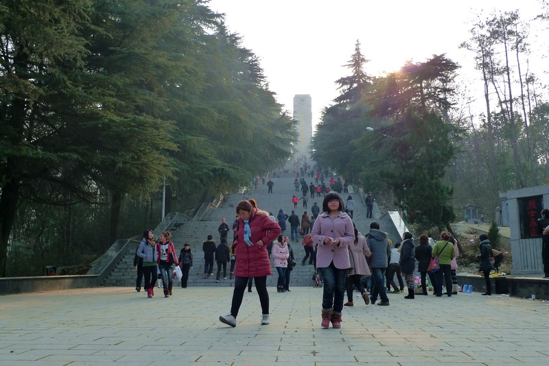 P1300253.jpg