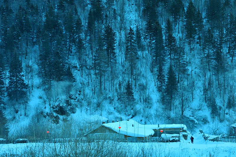 DSC_0403_.jpg