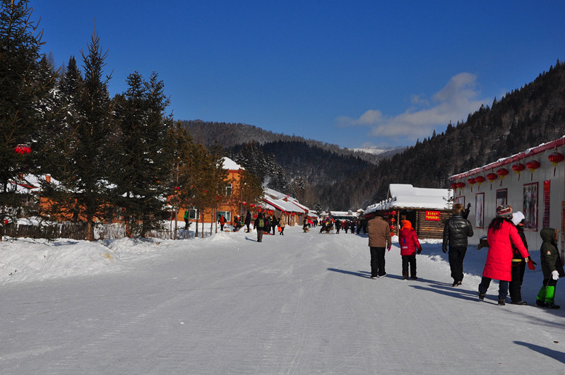 DSC_0738_.jpg