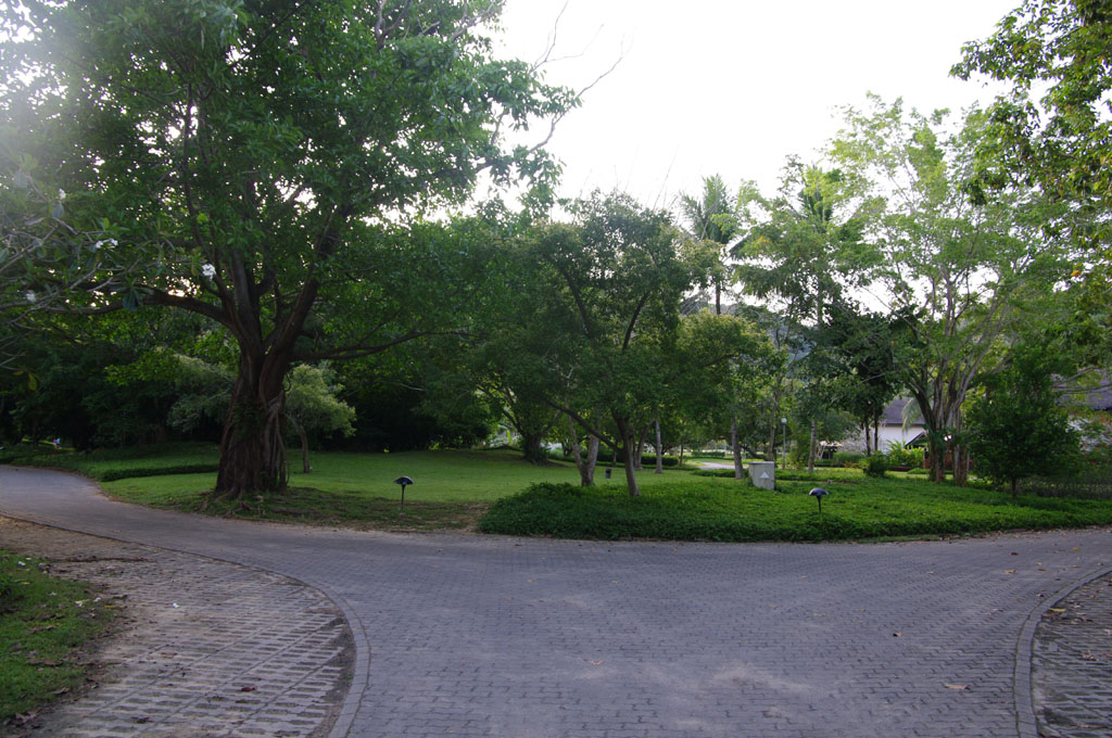 IMGP3053.jpg