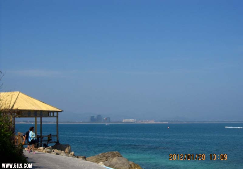 IMG_4384.jpg