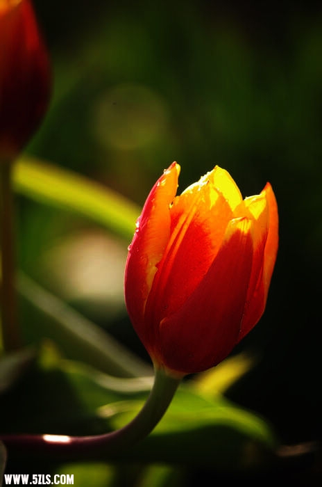 IMGP5690.jpg
