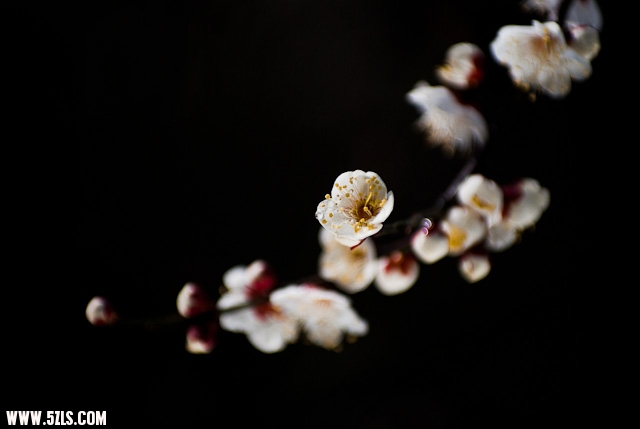 20120208-IMGP3753.jpg