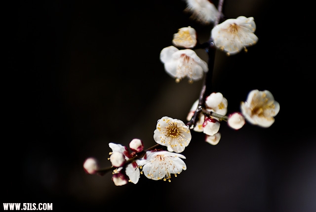 20120208-IMGP3755.jpg