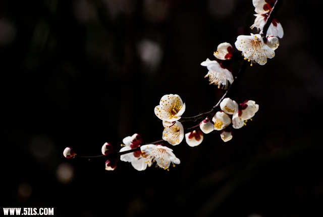 20120208-IMGP3747.jpg