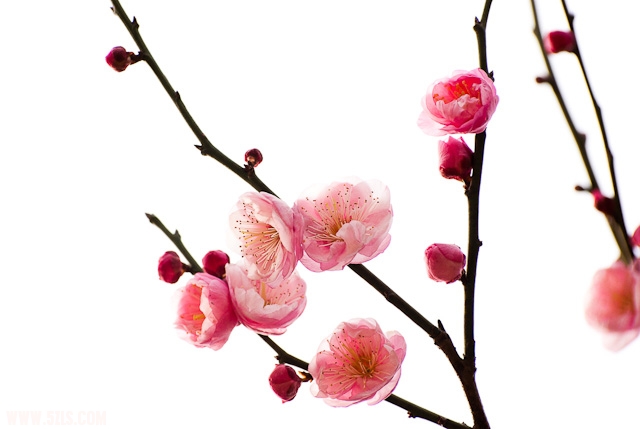 20120208-IMGP3851.jpg