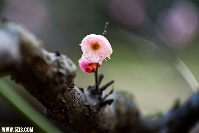 20120209-IMGP3886.jpg