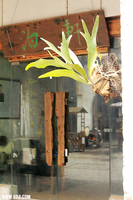 nEO_IMG__MG_2158.jpg