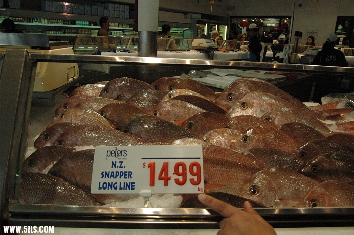 77.jpg