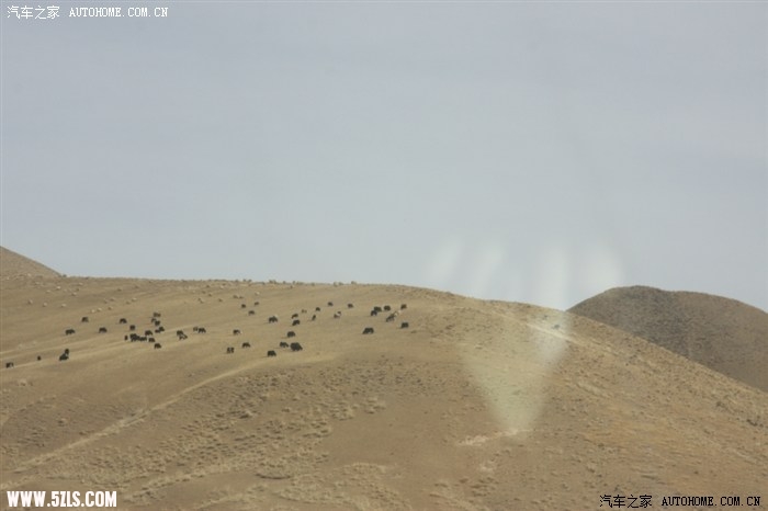 500_8dce_4472895c_4472895c.jpg
