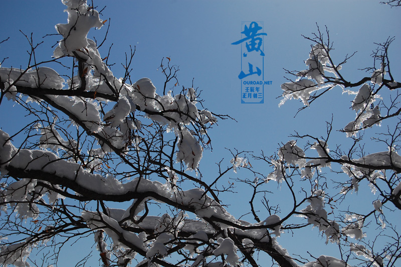 huangshan20120125_0375.jpg