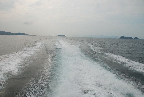 DSC_0900.JPG