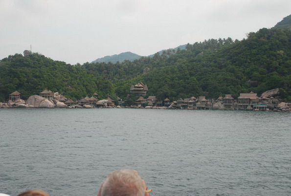 DSC_0919.JPG