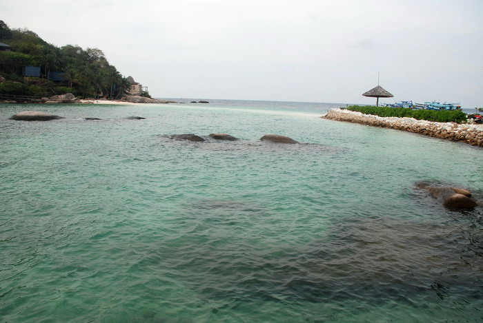 DSC_0938.JPG