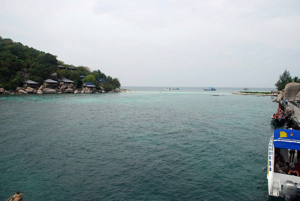 DSC_0945.JPG