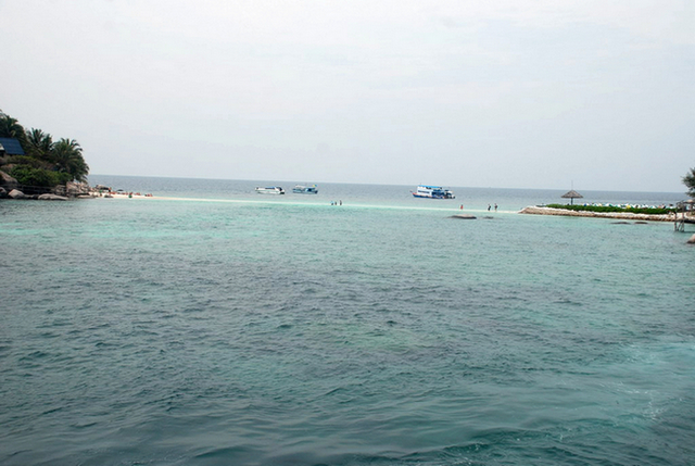 DSC_0952.JPG