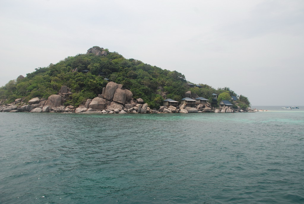 DSC_0955.JPG