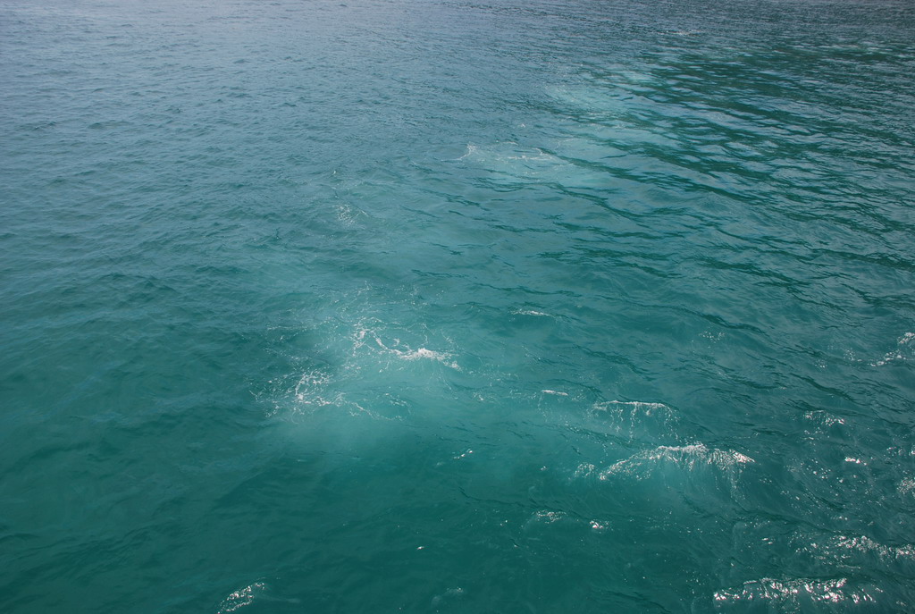 DSC_0956.JPG