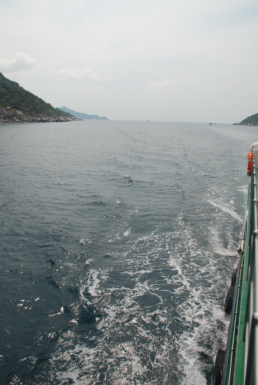 DSC_0974.JPG
