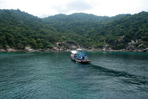 DSC_0979.JPG